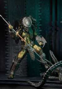 Alien vs Predator - Series 15 Temple Guard Predator Action Figure #10