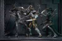 Alien vs Predator - Series 15 Ancient Warrior Predator Action Figure #6