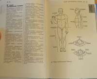 Справочный атлас анатомии человека — Р. П. Самусев #8