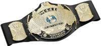 Чемпионский пояс - WWE Championship Collectible Title, Black