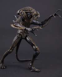 Aliens Xenomorph Warrior Series 1 - 8" #4