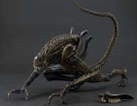 Aliens Xenomorph Warrior Series 1 - 8" #1