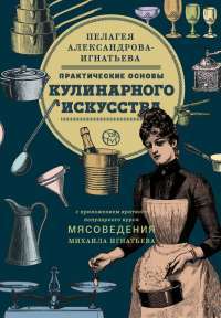 Практические основы кулинарного искусства — Пелагея Александрова-Игнатьева