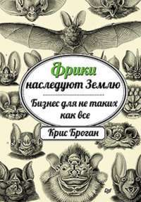 Фрики наследуют Землю. Бизнес для не таких как все — Крис Броган