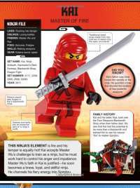 LEGO NINJAGO Character Encyclopedia Updated Edition #5