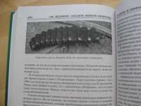 100 великих загадок живой природы — Непомнящий Николай Николаевич #1