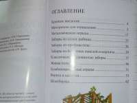 Ограждение садового участка — Страшнова Ольга Викторовна, Страшнов Виктор Григорьевич #2