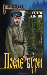 После бури — Сергей Залыгин