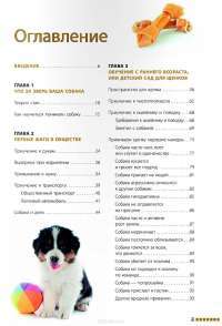 Дрессировка и воспитание собаки (+ DVD-ROM) — Андрей Шкляев #8