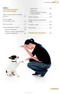 Дрессировка и воспитание собаки (+ DVD-ROM) — Андрей Шкляев #10