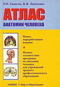 Атлас анатомии человека — Р. П. Самусев