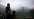 A Plague Tale: Innocence (Xbox One)
