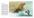 Страна чудес Роберта Ингпена. Секреты творчества знаменитого художника. Искусство иллюстрации — Роберт Ингпен