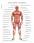 Анатомия наращивания мышц — Рэмзи Крэйг #5
