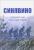 Cинявино, осенние бои 1941-1942 годов. Сборник воспоминаний участников синявинских сражений — И. Иванова #1