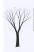 Рисуем дерево — Бруно Мунари #10
