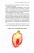Книга Фрукти проти овочів. Чому кавун — не ягода, а томат — це фрукт — Алексей Коваленко #13