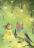 Книга Малий довідник смачних порад — Екатерина Кулик #8