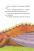 Книга Дракончик Кокос і Чорний лицар — Инго Зигнер #8