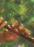 Книга The Forest Song. Adapted for Children — Леся Украинка #6
