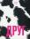 Друг — Сигрід Нуньес #1