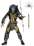 Alien vs Predator - Series 15 Ancient Warrior Predator Action Figure