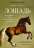 Лошадь. Биография нашего благородного спутника — Венди Уильямс #1