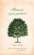 Тайный язык деревьев — Джилл Дэвис #1
